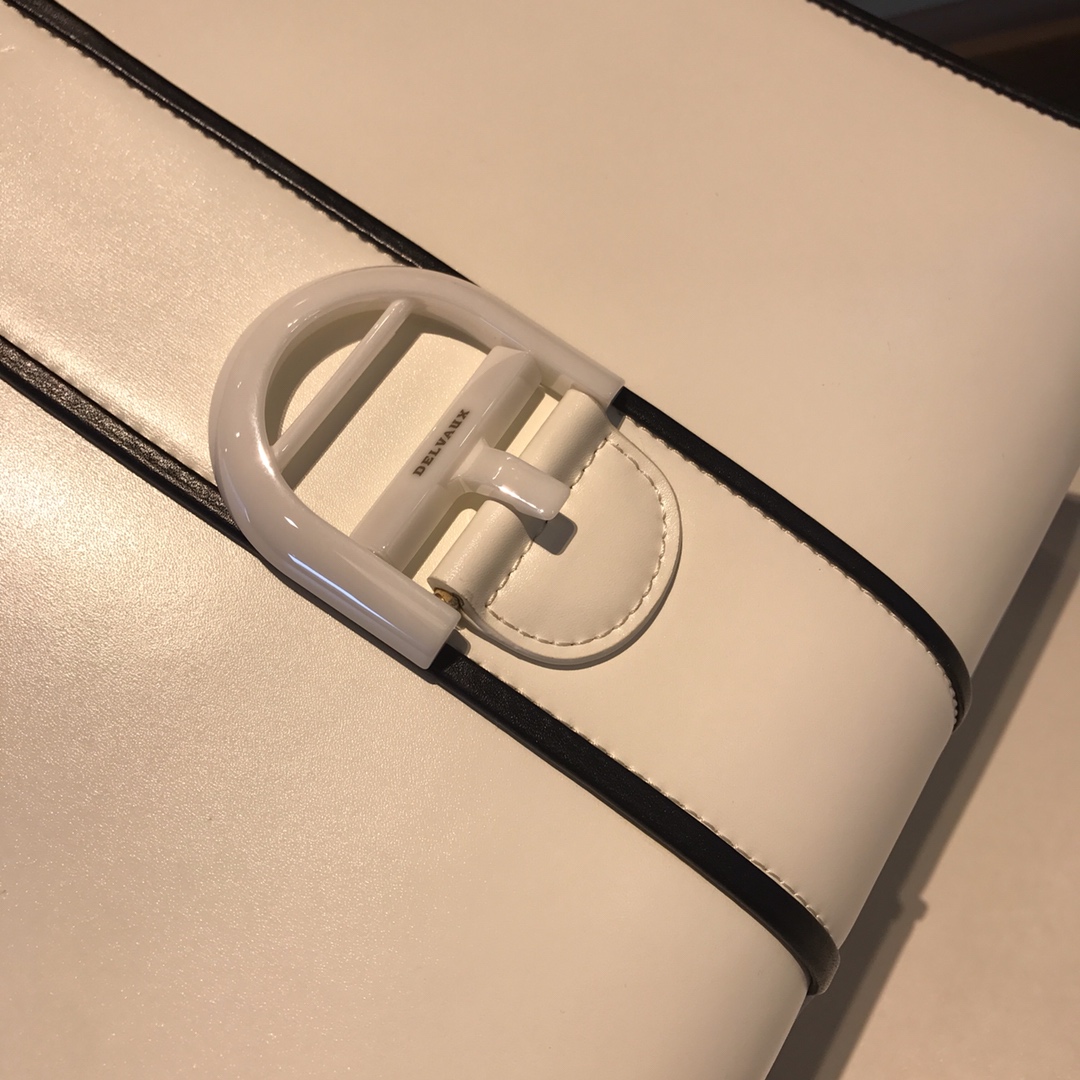 델보 브리앙 복스 토트백 미듐